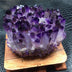 Cruz Amethyst Cluster Home Decoration Ornament Mineral Specimen - Minihomy