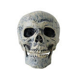 Halloween Decoration Skull Skeleton Horror Tombstone  Party Decor