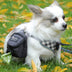 Pet Dog Treat Pouch Portable Multifunction Training Travel Bag - Minihomy