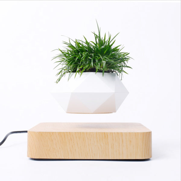 Magnetic  Suspension Floating Pot Potted Plant Home Desk Decor